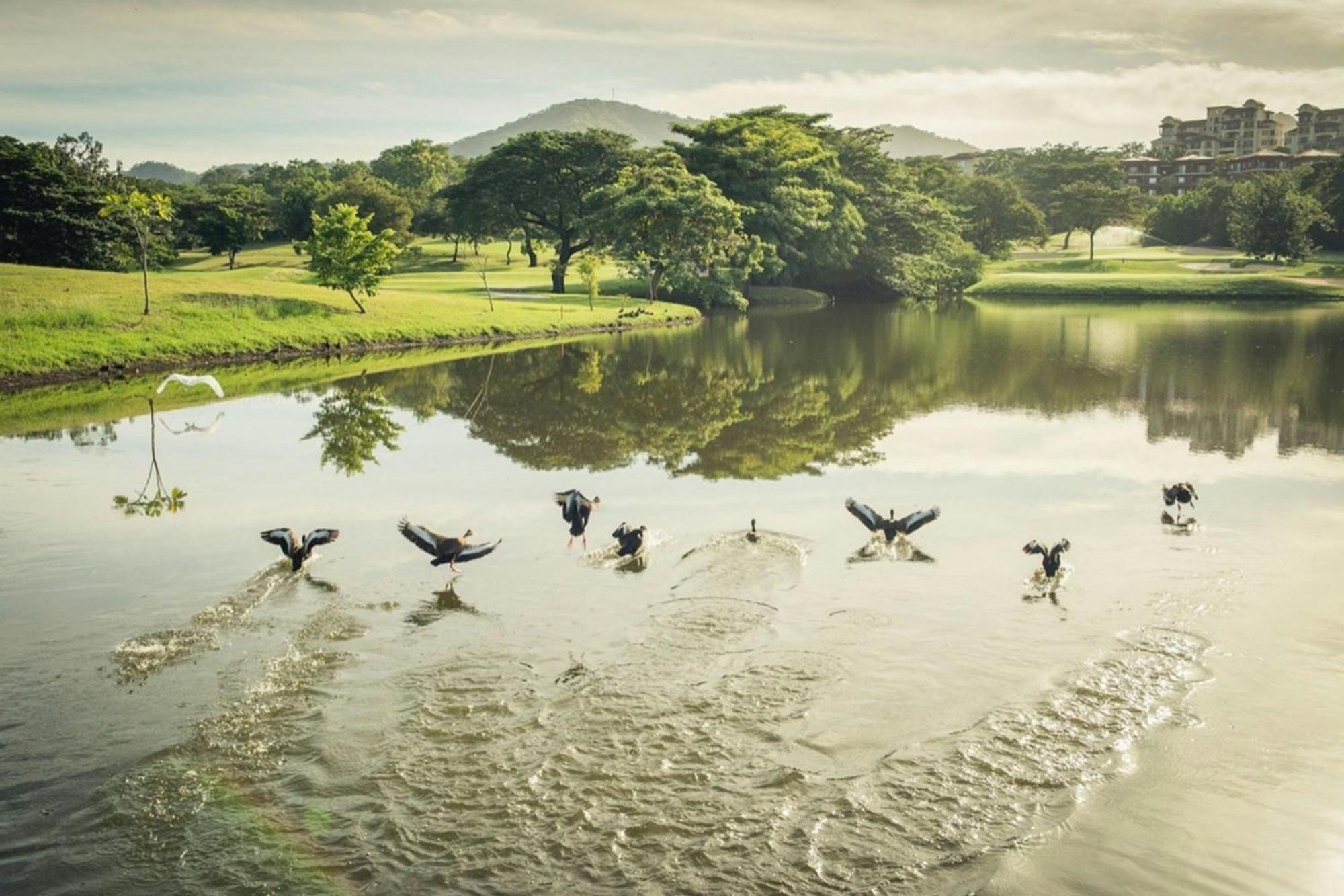 The Westin Reserva Conchal, An All-Inclusive Golf Resort & Spa Плайя Кончал Екстериор снимка